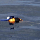 El cuerpo sin vida de un migrante ahogado, con chaleco salvavidas, flota en aguas exteriores de Libia, en una foto divulgada por la oenegé Proactiva Open Arms, el 24 de marzo.