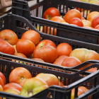 Imagen de uno de los puestos de venta ayer, en la Feria del Tomate del Mansilla de las Mulas. J. NOTARIO