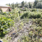 Las 176 parcelas disponibles están ahora ocupadas. RAMIRO