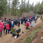 Un grupo de alumnos del instituto Gil y Carrasco de Ponferrada han plantado 300 árboles en el monte Pajariel. DL