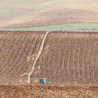La sequía ha afectado en León a diversas zonas de cultivo de cereal.