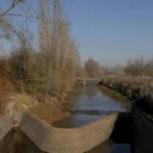 Desde la presa de Benamariel hasta Baeza hay tres kilómetros de canal de tierra con choperas