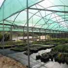 Instalaciones de plantas del vivero de Ciuden en Pobladura de las Regueras (Igüeña). ANA F. BARREDO