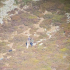 Fotografía de los cazadores que acompañaba a la denuncia. LA NUEVA ESPAÑA