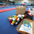 Una mascota y varias medallas, dentro de una cesta en el Pabellón Mediterráneo en los preparativos