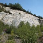 El bosque fósil de Valdesamario, arrasado