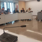 El Consejo de la Mujer ensalzó el trabajo del Ciami y compartió la estadística de maltrato. DL