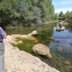 Aspecto que presentaba el río Torío a su paso por la capital el pasado jueves, con un caudal especialmente pobre.
