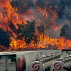 Las llamas devoran la arboleda, próxima a la aduana, en La Junquera (Gerona).