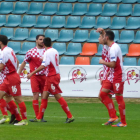 Los jugadores del combinado autonómico celebran uno de los goles conseguidos ante Melilla. FCYLF