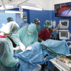 Imagen de una operación en el Hospital Veterinario. JESÚS F. SALVADORES