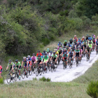 El pelotón afronta la subida del Pando durante la segunda etapa de la Vuelta, entre Boca de Huérgano y Soto de Sajambre. MARCIANO PÉREZ