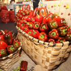 La recogida de pimentos no comenzará hasta agosto.