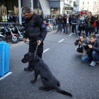 Policías y perros entrenados buscan bombas en la Cámara de Diputados de Buenos Aires, Argentina.