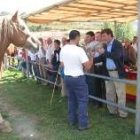 El presidente de la Diputación hace entrega de uno de los premios del concurso ganadero