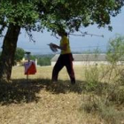 Los participantes son cada vez más veloces en la carrera