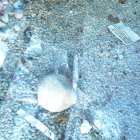 La celda de las Vanitas está llena de papeles y colillas.