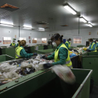 Actualmente son 177 los trabajadores empleados en la recogida y tratamiento de residuos.