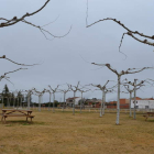 Imagen de la zona en la que irá colocada la nueva tirolina, muy cerca del campo de fútbol. MEDINA