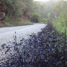 Paso de la Reserva de la Biosfera en Tejeira.