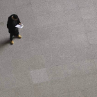 El autoempleo es la única salida que encuentran buena parte de las iniciativas emprendedoras de los autónomos.