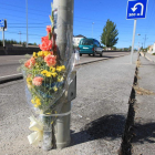 Un ramo de flores recuerda a la mujer atropellada el pasado día 5 en la C-631 en Bárcena.