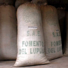 Los casi 30.000 kilos de lúpulo con los que se ha excedido la producción contratada están almacenados en la sede de la SAE.