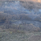 Imagen de la superficie quemada por el fuego.