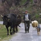 Muchas localidades del Bierzo rural están hoy habitadas por apenas una decena de personas