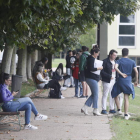 Un grupo de universitarios en la campa entre Filosofía y Biológicas. RAMIRO