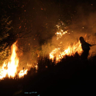 El Bierzo ha sido castigado con 4.171 siniestros forestales en quince años del presente siglo. L. DE LA MATA