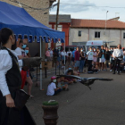 Exhibición de cetrería que se repetirá hoy a las 20.30 horas. MEDINA