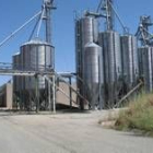 Parte de las instalaciones de Enervisa que llevan tres años sin ninguna actividad