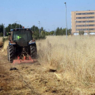 Las brigadas de la contrata del Ayuntamiento, ayer en la zona de la urbanización de La Lastra. DL