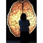 Un mapa del cerebro instalado en el Museo de las Ciencias Príncipe Felipe