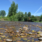 Imagen del río Órbigo a su paso por la provincia de León. MEDINA