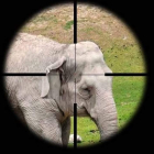 El asesinato de una elefanta que es el símbolo de un zoológico sumerge en una trama llena de suspense y reflexión.