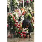 Una mujer coloca flores en el cementerio de Ponferrada. L. DE LA MATA