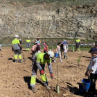 Participantes en la plantación de árboles. DL