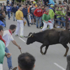 Una de las reses se descolgó de la manada, alargando el encierro. ACACIO