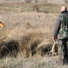 Un cazador junto a su perro en una jornada de actividad. El domingo la temporada levanta el telón. RAMIRO