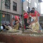 Un momento del concurso celebrado en Veguellina.
