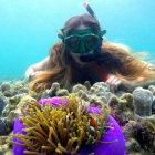 María Lastra Cagigas en una barrera de coral. Entre otras investigaciones,ha buceado en el lago Macquarie estudiando las cascadas de nutrientes entre las algas del lago, moluscos y peces y el impacto de la alteración de uno de ellos en los otros.