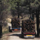 Labores de recuperación tras el incendio de castrocontrigo