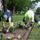 Operarios municipales plantas flores en León. DL