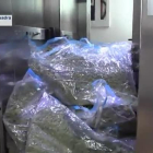 Los Mossos decomisan 500 kilos de marihuana a una red que distribuía a clubs cannábicos del área metropolitana de Barcelona.