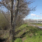 Imagen de la zona del río Sil en Ponferrada en la que actuará la Confederación.