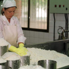 Elaboración de queso artesanal en una empresa en el medio rural de la provincia.