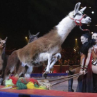 Actuación con llamas en el Festival Internacional de Circo de Montecarlo.