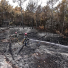 Unos brigadistas trabajan en la zona de la localidad de Altura (Castellón) afectada por un incendio forestal a principios del mes de julio
